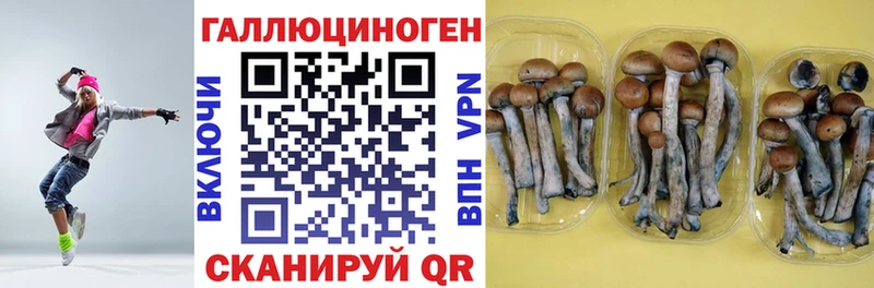 Галлюциногенные грибы мухоморы  где продают   Малая Вишера 